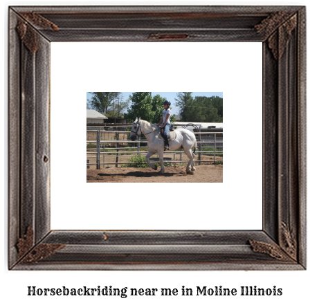 horseback riding near me in Moline, Illinois